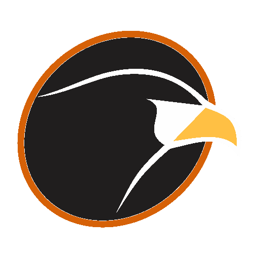 Condor Cash Logo